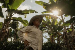 Campesinos de Jericó, Antioquia, enfrentan consecuencias legales por su enfrentamiento con la multinacional AngloGold Ashanti.