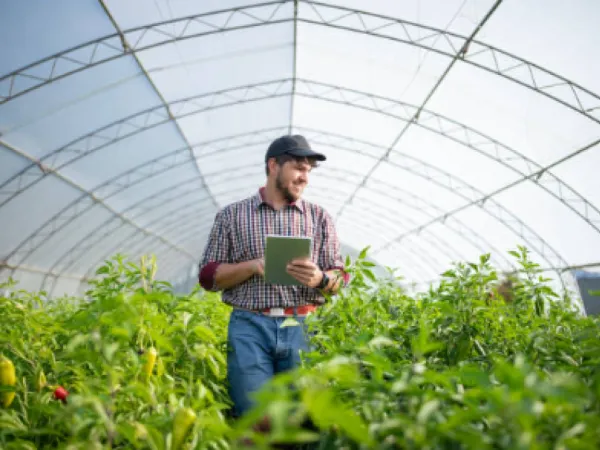 Minagricultura anuncia subsidios por $180 mil millones para productores agropecuarios | Gobierno | Economía