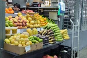Cedice alimentos