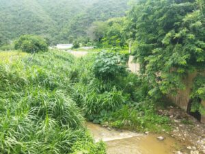 Piden saneamiento para el río Marapa