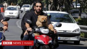 Por qué en Irán sacar a pasear tu perro te puede llevar a la cárcel