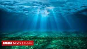 Por qué los océanos se están oscureciendo (y las consecuencias que esto puede tener para animales y humanos)