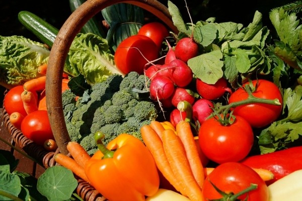 Productores de hortalizas deben comenzar a sacar sus costos y fijar precios mínimos de sustentación