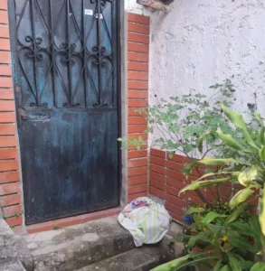Recién nacida fue abandonada en las afueras de una casa