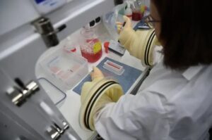 Reino Unido construirá un nuevo centro de bioseguridad para afrontar futuras pandemias - AlbertoNews
