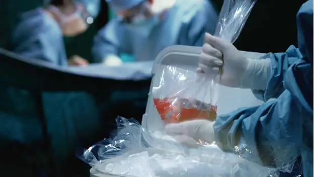 Se cumplieron 8 años desde la suspensión del Programa de Procura de Órganos de Donantes Cadavéricos