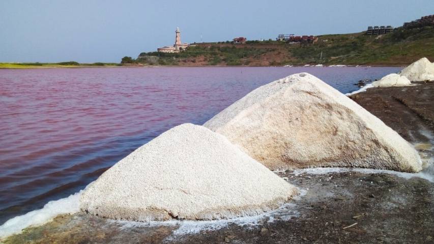 Sector salinero apunta a la reactivación y conquista de mercados internacionales - AlbertoNews