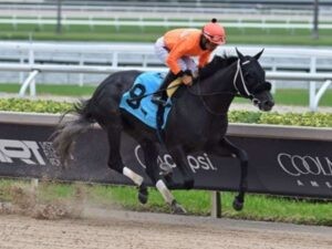 Shisospicy y “Kikito” por la gloria en Royal Ascot