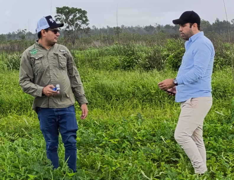 Sociedad de agrónomos recomienda uso de la tecnología para aumentar la producción en Venezuela