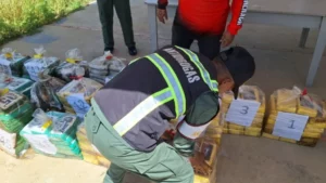 Superintendencia Nacional Antidrogas incineran 1.502 kilogramos de cocaína en La Guaira