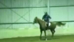 Suspenden a un jinete olímpico por azotar más de 40 veces a su caballo con un látigo... para no matarlo