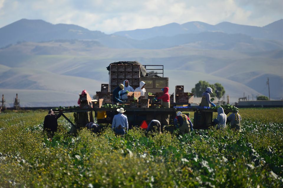 Trump reconoce que su política migratoria afecta a los agricultores