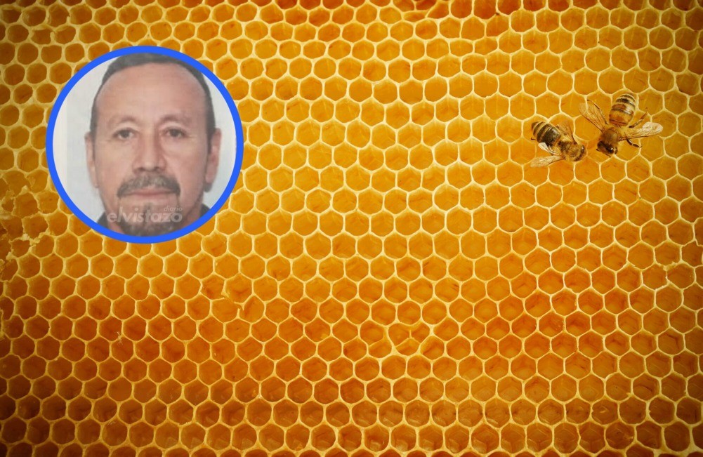 Un hombre de 59 años murió tras sufrir picadura de abejas mientras trabajaba en la vía El Tigre - Ciudad Bolívar