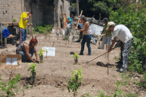 Agricultura sustentable