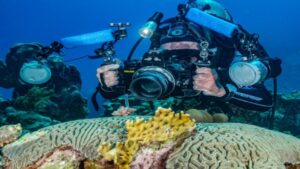Venezuela busca fortalecer la investigación en el campo de la oceanología - AlbertoNews
