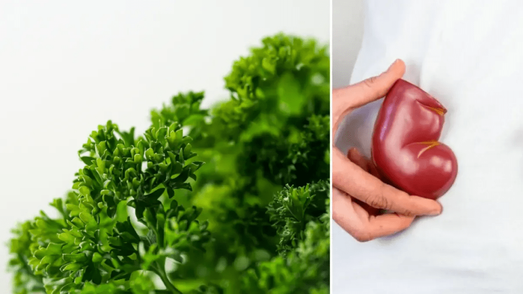 elimina las toxinas del cuerpo