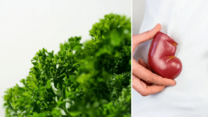 elimina las toxinas del cuerpo
