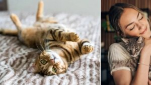 ¿Qué dice la psicología de las personas que aman a los gatos? Tienen rasgos y características especiales