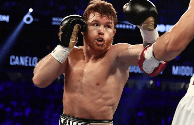 ¿Qué sigue para Canelo? Sheeraz emerge como potencial rival