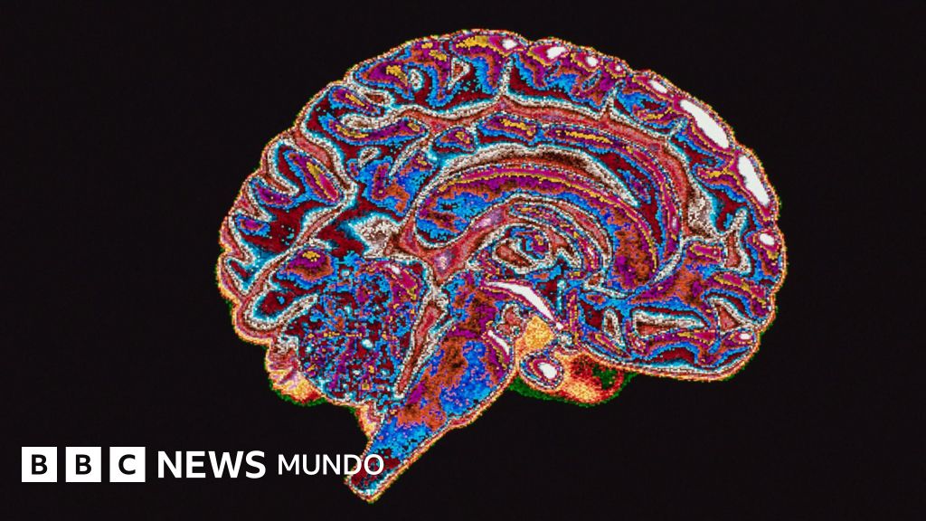 ¿Tendemos naturalmente los seres humanos a la corrupción? Lo que dice la neurociencia