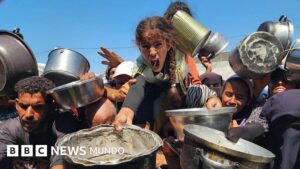 «Es como darle analgésicos a un paciente con cáncer sin tratarlo»: Israel anuncia «pausa táctica» y permite el ingreso de algunos camiones de ayuda a Gaza