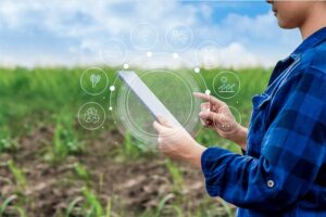 AVAT: La Inteligencia Artificial ofrece ventajas a la producción agrícola - AlbertoNews