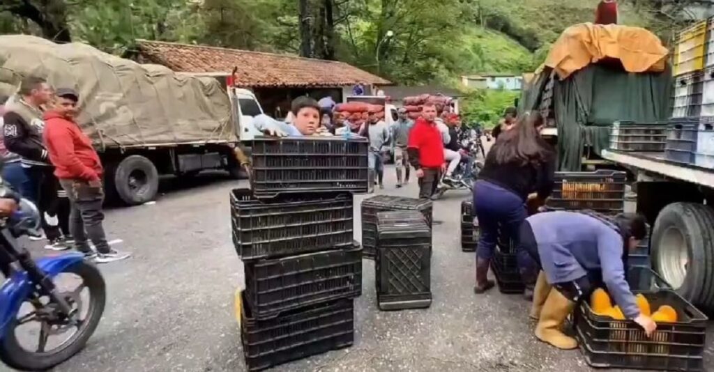 Agricultores de Mérida luchan por salvar cosechas