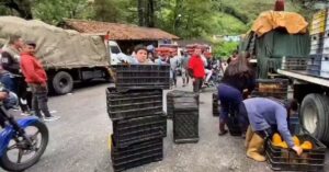 Agricultores de Mérida luchan por salvar cosechas