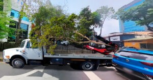 Alcaldía remolca árbol mal estacionado – El Chigüire Bipolar