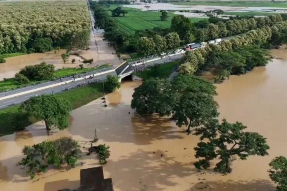 Alerta agrícola en Portuguesa: 80% de la siembra está comprometida por las lluvias