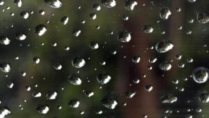 Alerta roja por lluvias en India mientras el monzón deja al menos tres muertos en el norte | elperiodico.com
