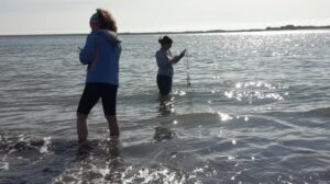 Alertan que hay microplásticos en más del 90% de los ejemplares de una especie clave de peces patagónicos - AlbertoNews