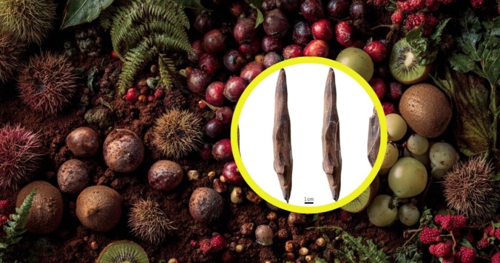 Arqueólogos chinos encuentran en Gantangqing herramientas de madera usadas por los homínidos del Pleistoceno hace 300.000 años