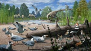 Aves anidando en el Ártico hace millones de años