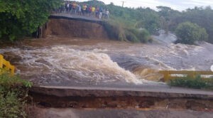 Barinas y Apure quedan incomunicados por caída de puente