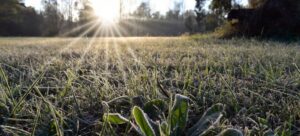 Chile y Argentina ahora son los países más fríos de la Tierra : IPS Agencia de Noticias