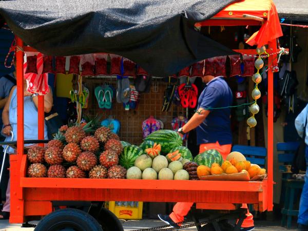 Colombia perdería $450 billones al 2030 por informalidad y baja productividad, según CCS | Empleo | Economía