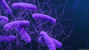 Confirman expansión de un gen que transforma bacterias – DW – 18/07/2025