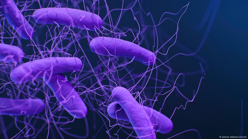Confirman expansión de un gen que transforma bacterias – DW – 18/07/2025