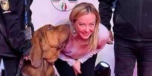 Conmoción en Italia por la muerte de Bruno, el héroe perruno premiado por Meloni que salvó nueve vidas