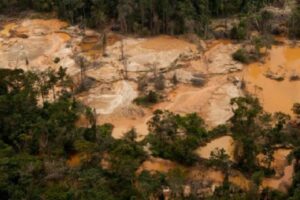 Crisis Group advierte daños severos al ecosistema y a la población por minería ilegal