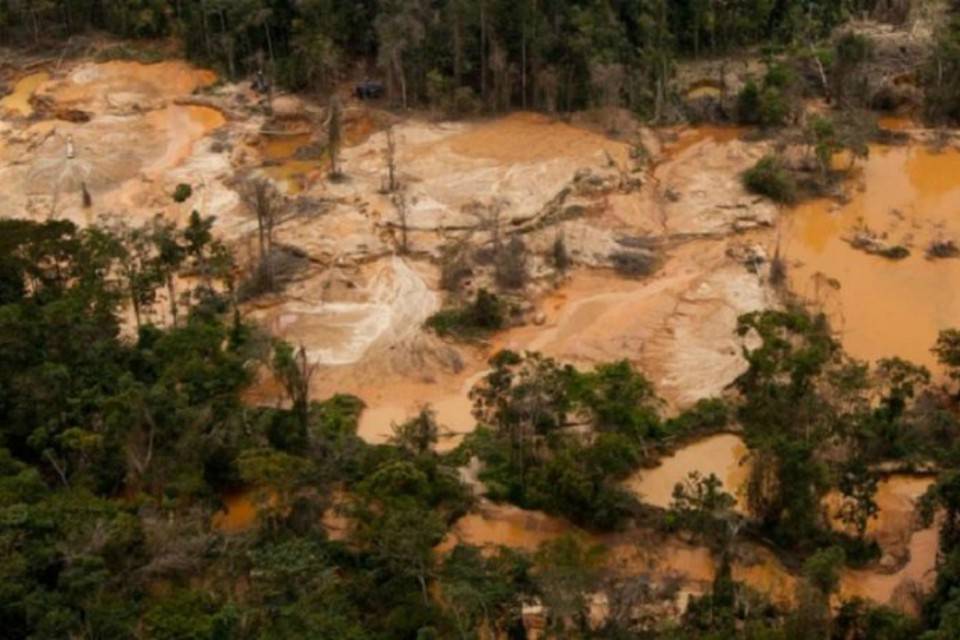 Crisis Group advierte daños severos al ecosistema y a la población por minería ilegal