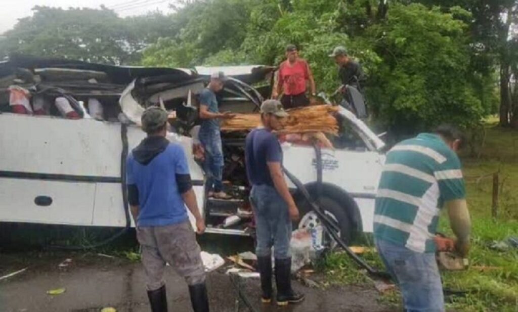 Cuatro fallecidos y 11 heridos tras desplome de árbol