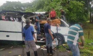 Cuatro fallecidos y 11 heridos tras desplome de árbol