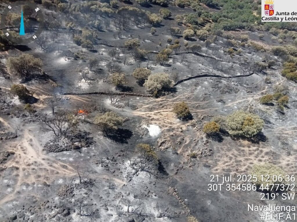 Declarado índice de gravedad 1 en el incendio forestal de Navaluenga (Ávila) tras reactivarse