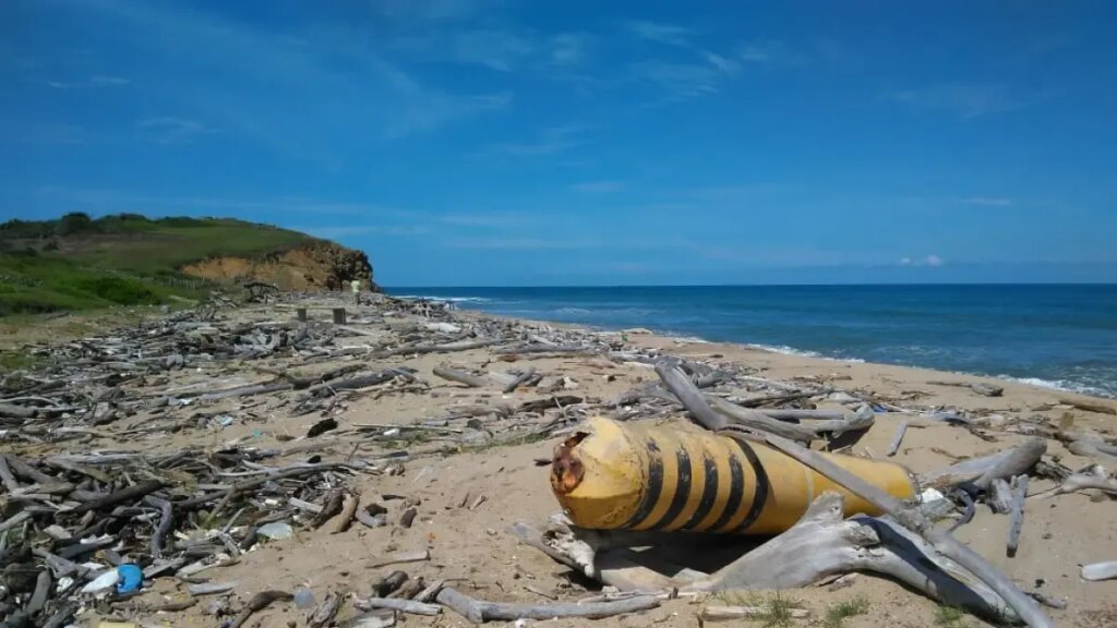 Descubren que la madera a la deriva sería clave para medir contaminación plástica en playas del Caribe: ¿por qué?