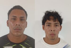 Detenidos por hurto de ganado
