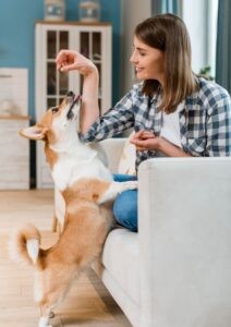Día Mundial del Perro: la adopción es un acto de amor