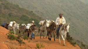 Documental “Páramos de Leyendas” recuerda un poco los deslaves de hace 15 años en los Andes Venezolanos