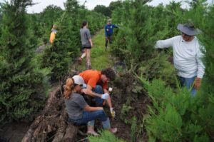 Dos semanas después de las trágicas inundaciones en Texas, tres personas continúan desaparecidas – AlbertoNews